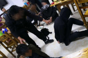 娱乐吃瓜酱诈骗团伙