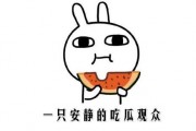 吃瓜网络词是什么意思,网络热词背后的文化现象